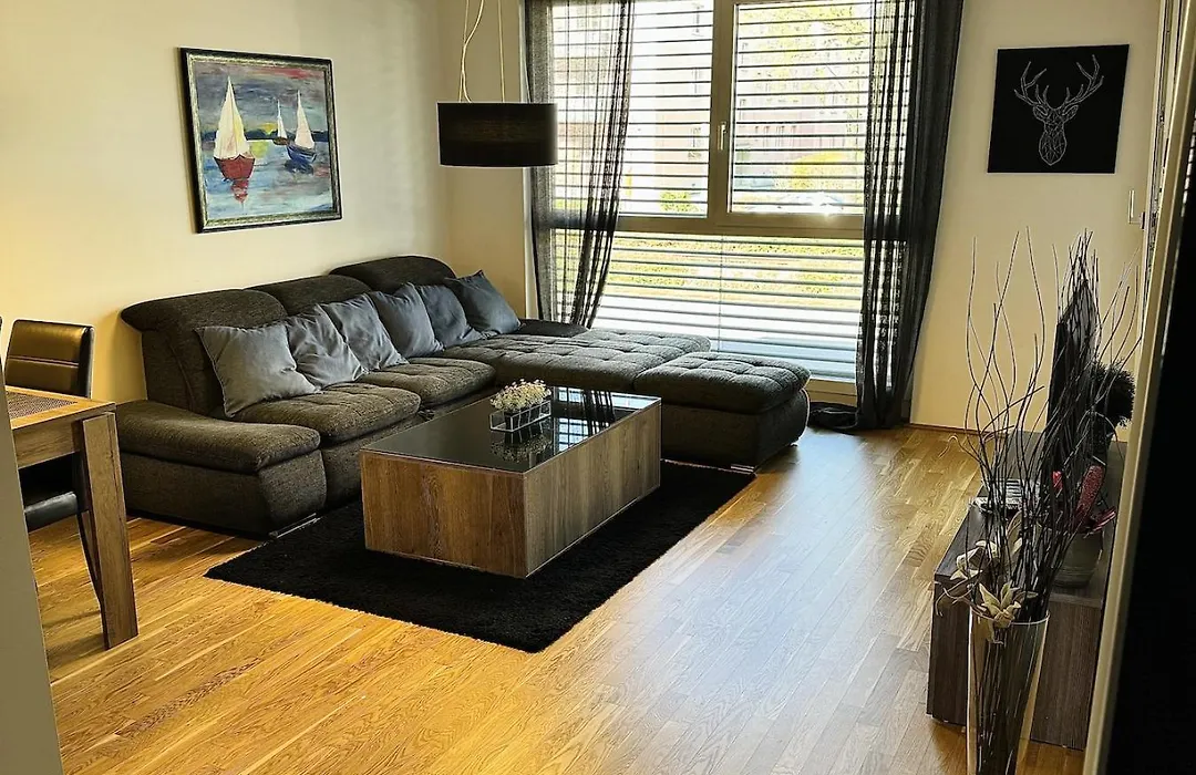 Apartment Brand New Apartment, Location-near Vic/danube Vienna